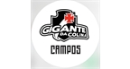Por dentro da empresa VAS FRIBURGO COMERCIO LTDA | GIGANTE DA COLINA CAMPOS Logo