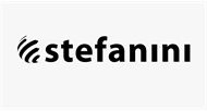Stefanini Logo
