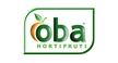 Por dentro da empresa Oba Hortifruti Logo