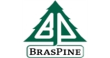 BRASPINE logo