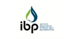 Por dentro da empresa IBP Logo