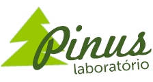 Logo de PINUS INDUSTRIA E COMERCIO
