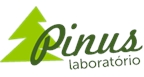 Por dentro da empresa PINUS INDUSTRIA E COMERCIO Logo