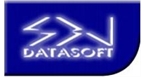 Por dentro da empresa DATASOFT Logo