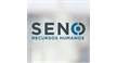 Por dentro da empresa SENO RECURSOS HUMANOS Logo