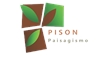 Por dentro da empresa Pison Paisagismo Logo
