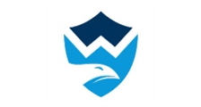 WellSeg Segurança Eletronica logo