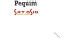 Por dentro da empresa PEQUIM 2000 Logo