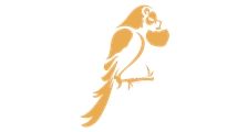 Logo de coco bambu sp market