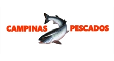 BELA PESCA DITRIBUIDORA DE PESCADOS logo
