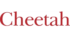 CHEETAH CONSULTORES logo
