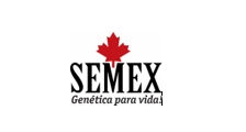 Logo de Semex do Brasil