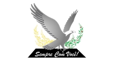 Pereira Descartaveis logo
