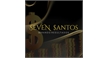 Por dentro da empresa SEVEN SANTOS INTERMEDIACAO DE NEGOCIOS LTDA Logo