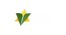 Distribuidora Vale das Acacias logo