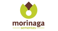 Morinaga Sementes logo
