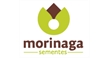 Por dentro da empresa MORINAGA SEMENTES LTDA Logo