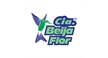 Por dentro da empresa CIABEIJAFLOR REPRESENTAÇÕES Logo