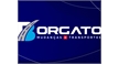 Por dentro da empresa BORGATO MUDANÇAS E TRANSPORTES LTDA Logo