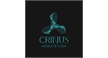 Por dentro da empresa Estudio Crinus Logo