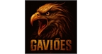 Por dentro da empresa EQUIPE GAVIÕES Logo