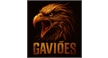 Por dentro da empresa EQUIPE GAVIÕES Logo