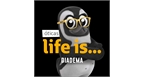 Por dentro da empresa Óticas Life is Diadema LTDA Logo