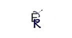 Por dentro da empresa ER CONSULTORIA LTDA Logo