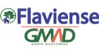FLAVIENSE Logo
