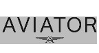 Por dentro da empresa AVIATOR Logo
