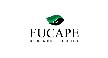 Por dentro da empresa Fucape Business School Logo