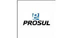 PROSUL PROJETOS SUPERVISAO E PLANEJAMENTO LTDA Logo