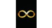 Por dentro da empresa INFINITY TRUST COMERCIO LTDA Logo