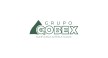 Por dentro da empresa COBEX Logo