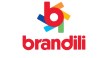 Opiniões da empresa Brandili Logo