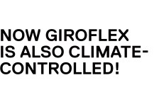 Logo de Giroflex S/A