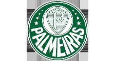 Sociedade Esportiva Palmeiras logo