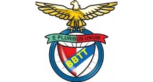 Logo de Benfica BBTT