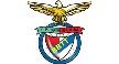 Opiniões da empresa Benfica BBTT Logo