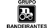 Por dentro da empresa GRUPO BANDEIRANTES Logo
