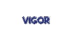 Por dentro da empresa Vigor Logo