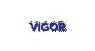 Opiniões da empresa Vigor Alimentos Logo
