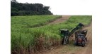 AGROPECUARIA JAYORO LTDA Logo