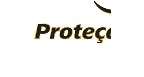 Por dentro da empresa Proteção Águia Logo