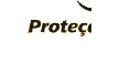 Por dentro da empresa Proteção Águia Logo