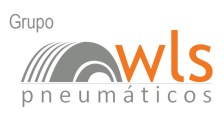 WLS Pneumaticos logo