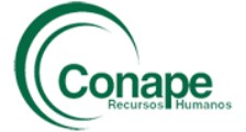 Conape Serviços logo