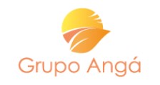 Grupo Angá logo