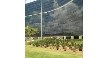 Opiniões da empresa IPSEMG - Instituto de Previdência dos Servidores do Estado de Minas Gerais Logo