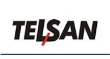 TELSAN Engenharia e Serviços LTDA logo